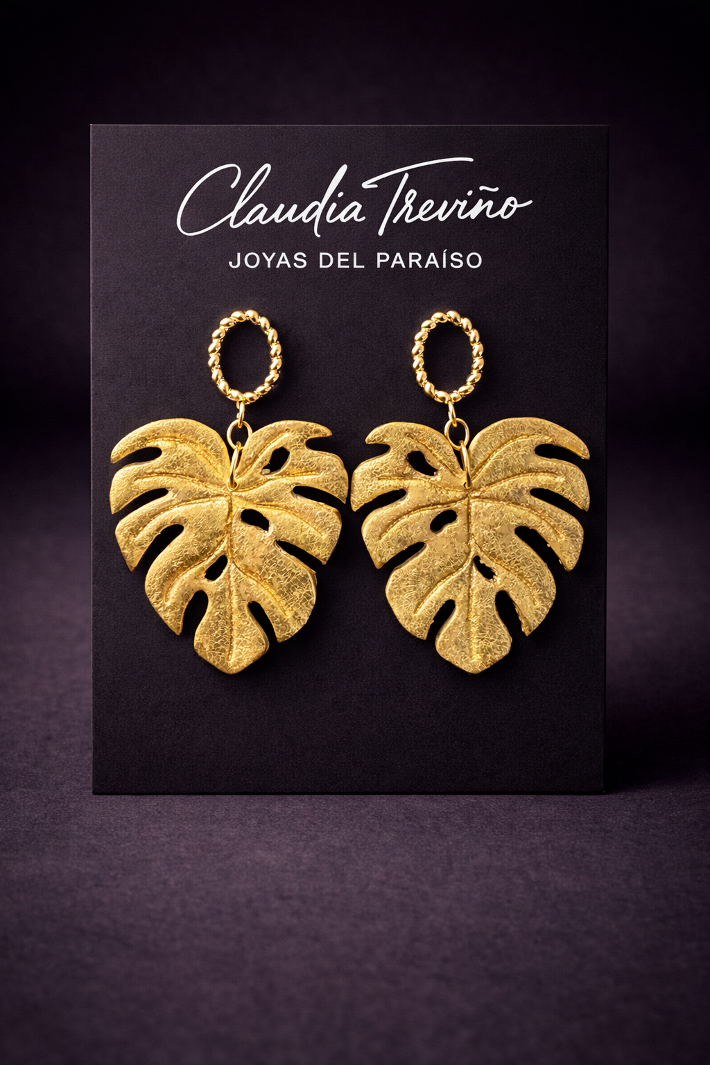 MONSTERA 01